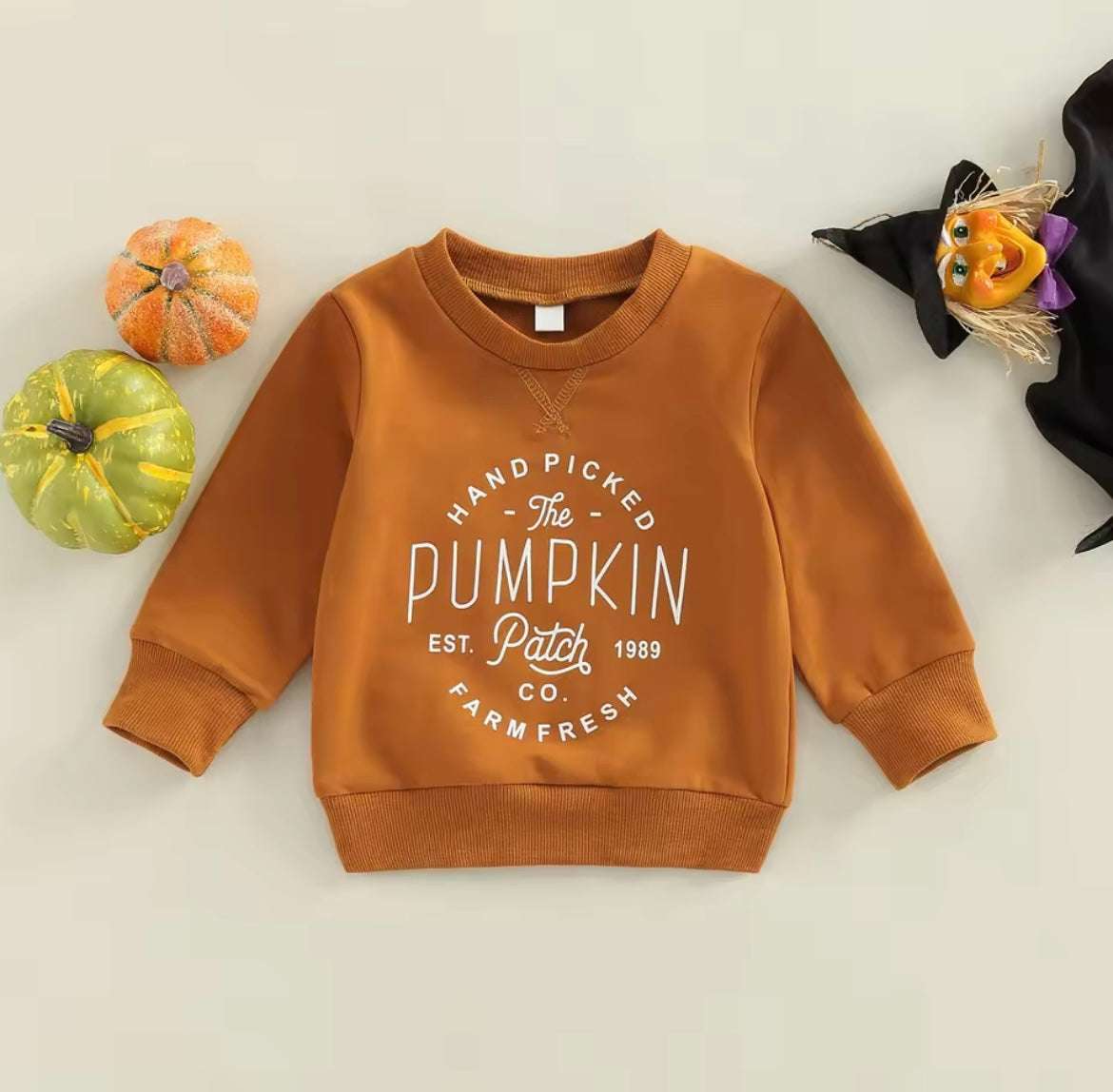 Fall Rust Pumpkin Long Sleeve T-Shirt