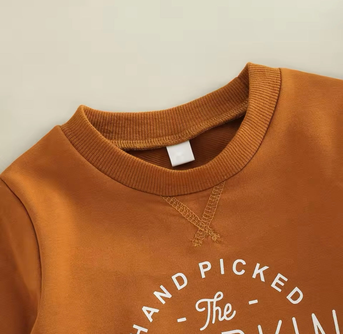 Fall Rust Pumpkin Long Sleeve T-Shirt