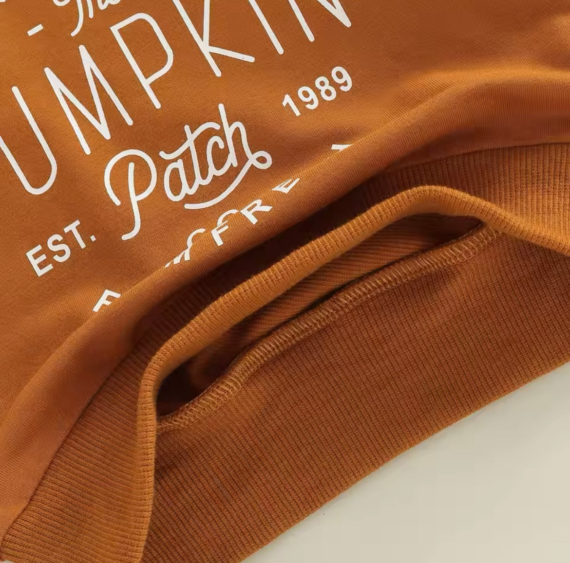 Fall Rust Pumpkin Long Sleeve T-Shirt