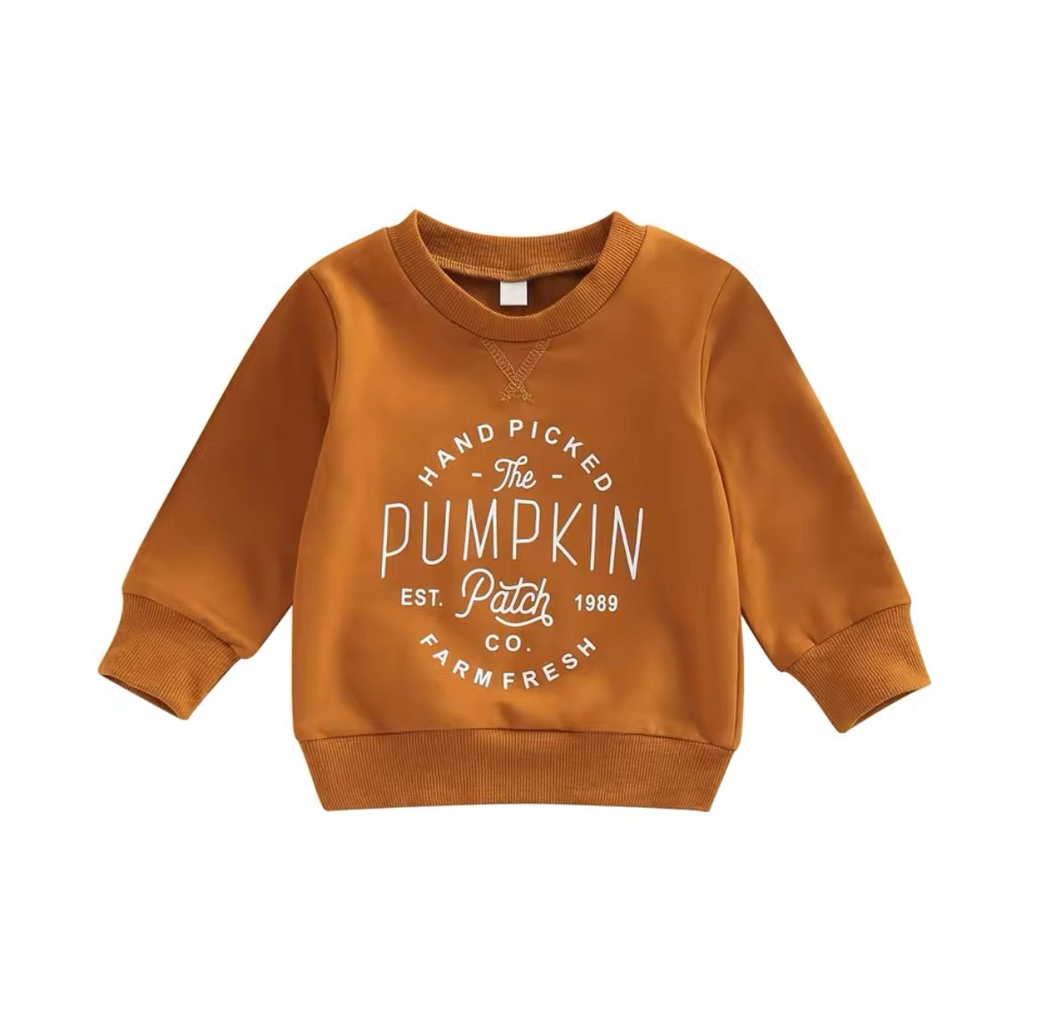 Fall Rust Pumpkin Long Sleeve T-Shirt