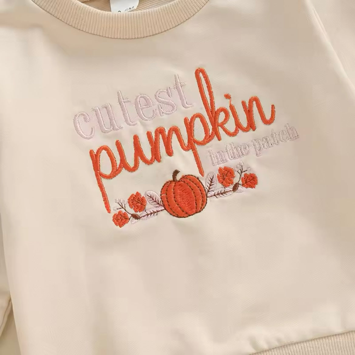 Fall Cream Pumpkin Sweatshirt