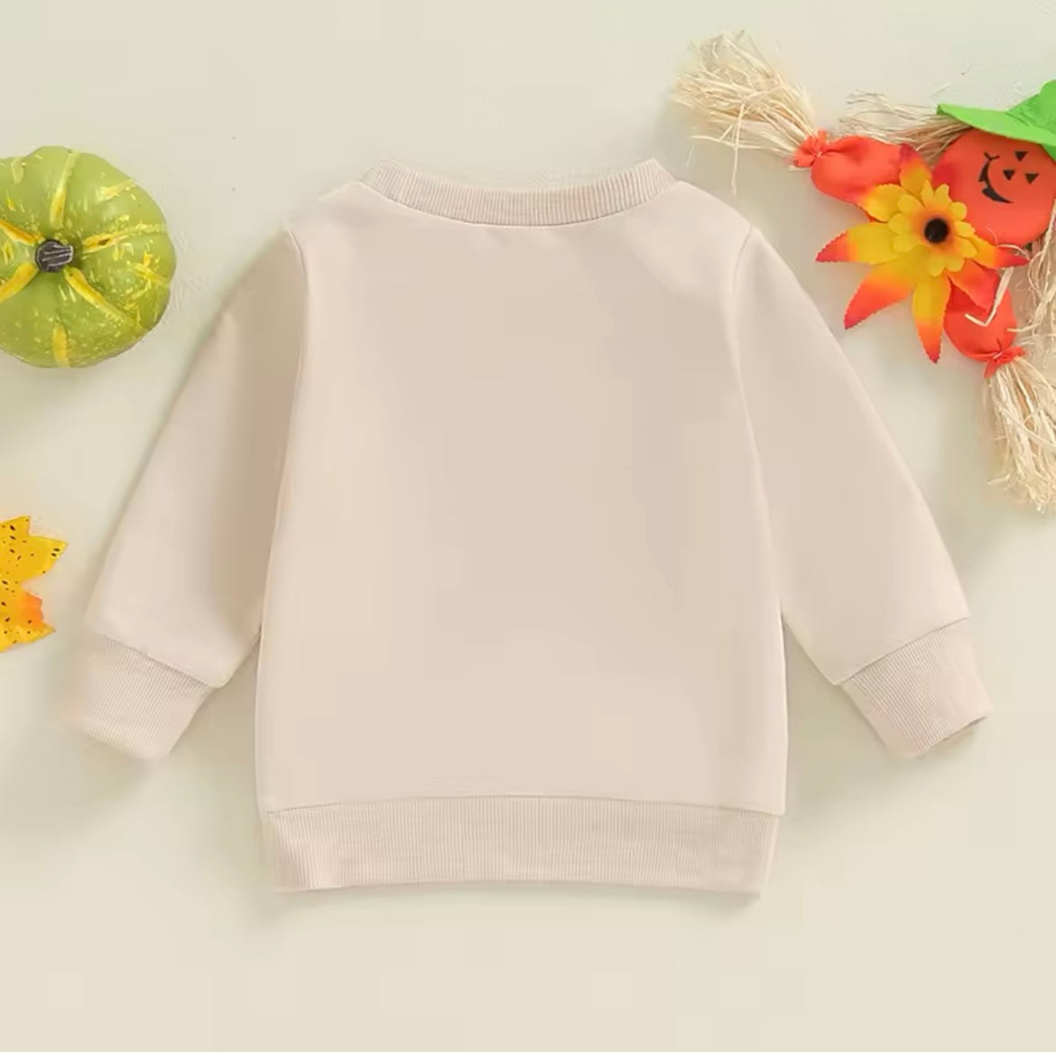 Fall Cream Pumpkin Sweatshirt