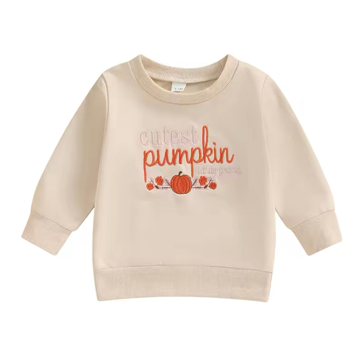 Fall Cream Pumpkin Sweatshirt