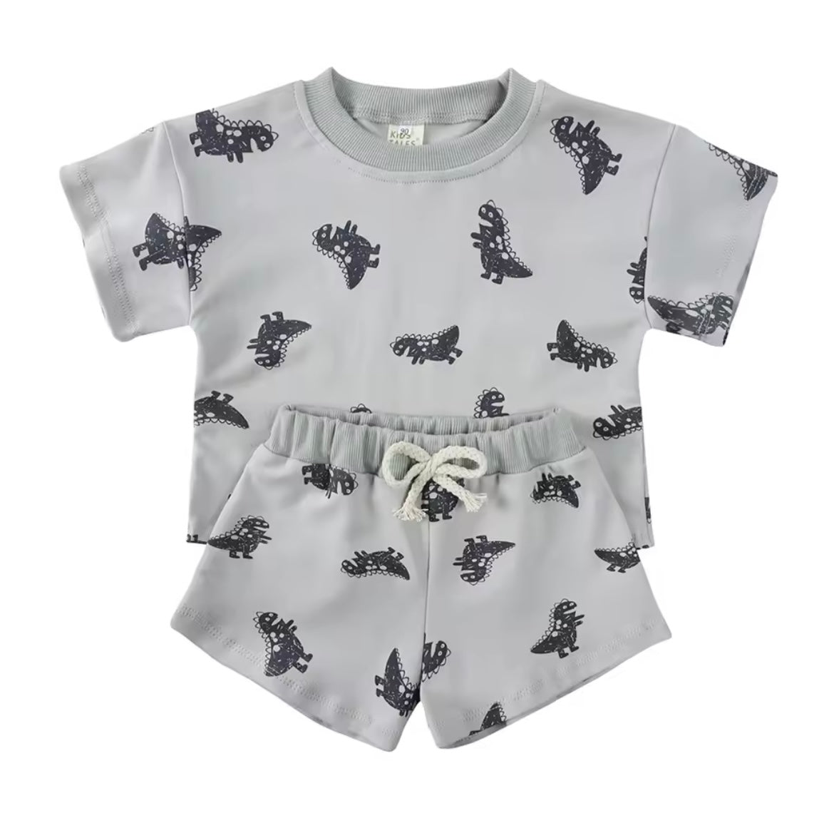 Boy Summer Dino Short Set