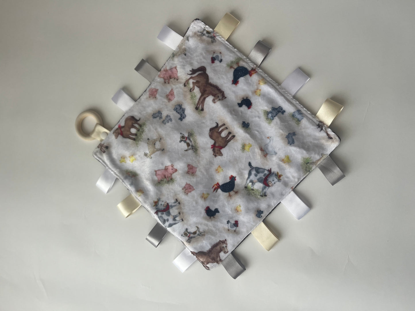 Minky Tag Blanket