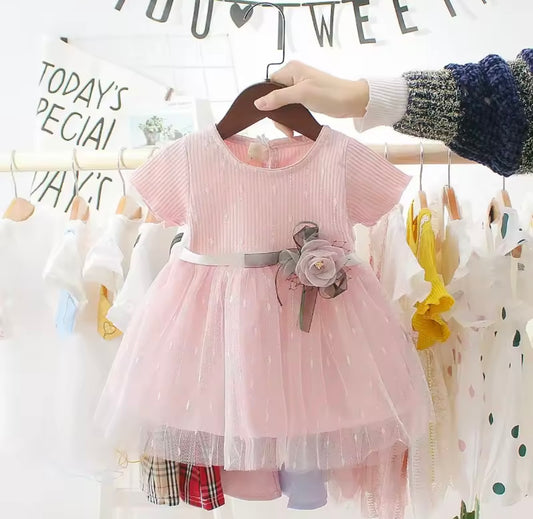 Baby Girl Princess Tulle Dress