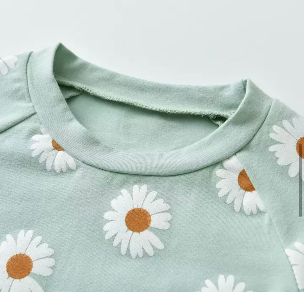 Mint Daisy Sweatshirt & Pant set/matching Headband