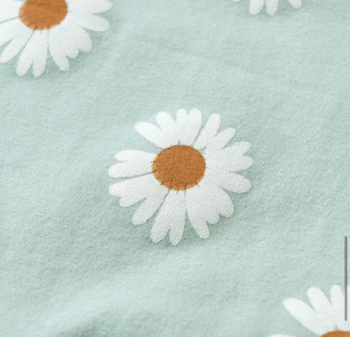 Mint Daisy Sweatshirt & Pant set/matching Headband