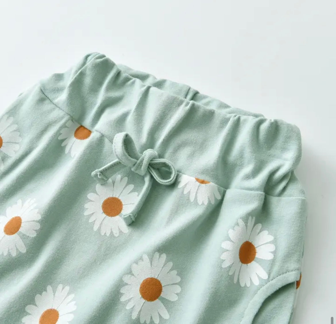 Mint Daisy Sweatshirt & Pant set/matching Headband