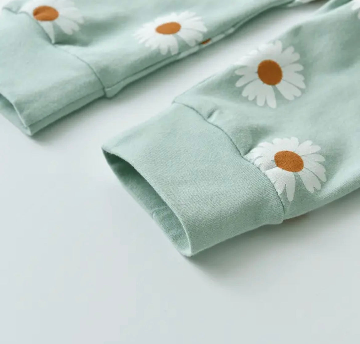 Mint Daisy Sweatshirt & Pant set/matching Headband