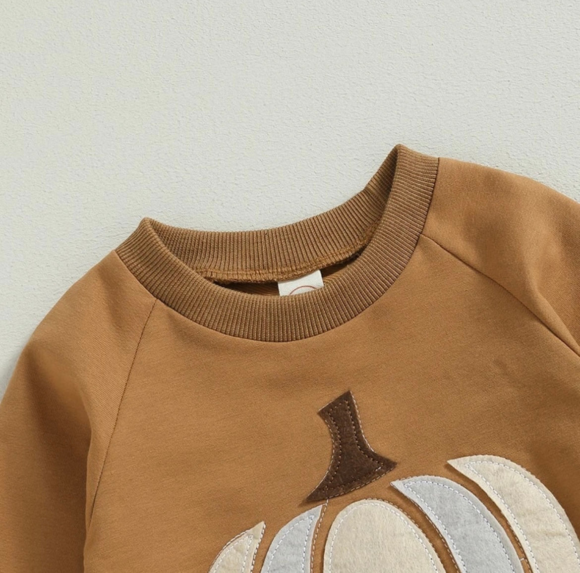 Rust Fall Crew Neck with pumpkin Applique and Stripe Pants