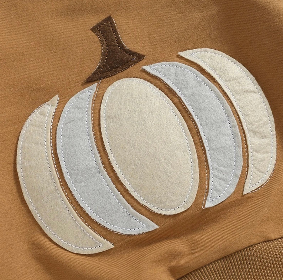 Rust Fall Crew Neck with pumpkin Applique and Stripe Pants