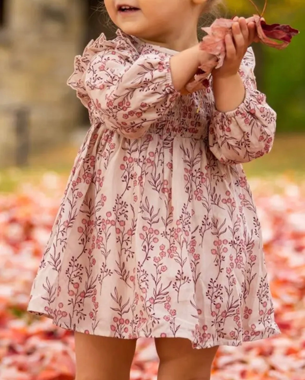 Baby Girl Floral Tan Long Sleeve Dress